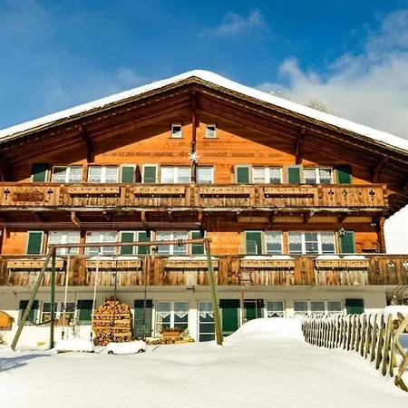 Chalet Burgstein, Silberdistel Apartment Grindelwald