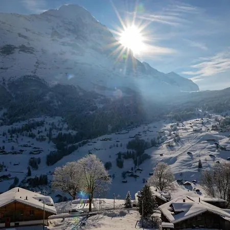 Chalet Burgstein, Silberdistel * Grindelwald