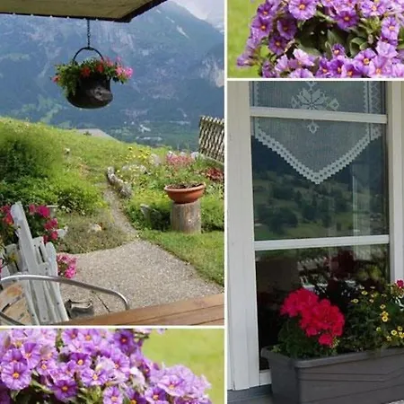 Apartment Chalet Burgstein, Silberdistel